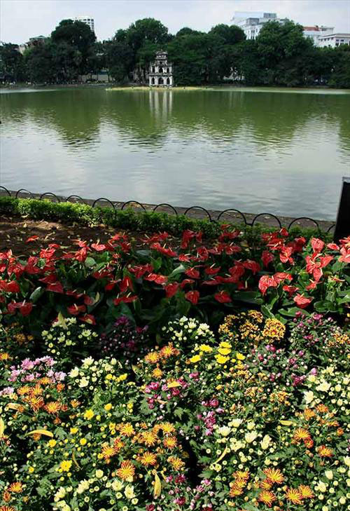 Dọc Hồ Gươm (Hoàn Kiếm, Hà Nội), các loại hoa được trồng mới trong các khuôn viên.